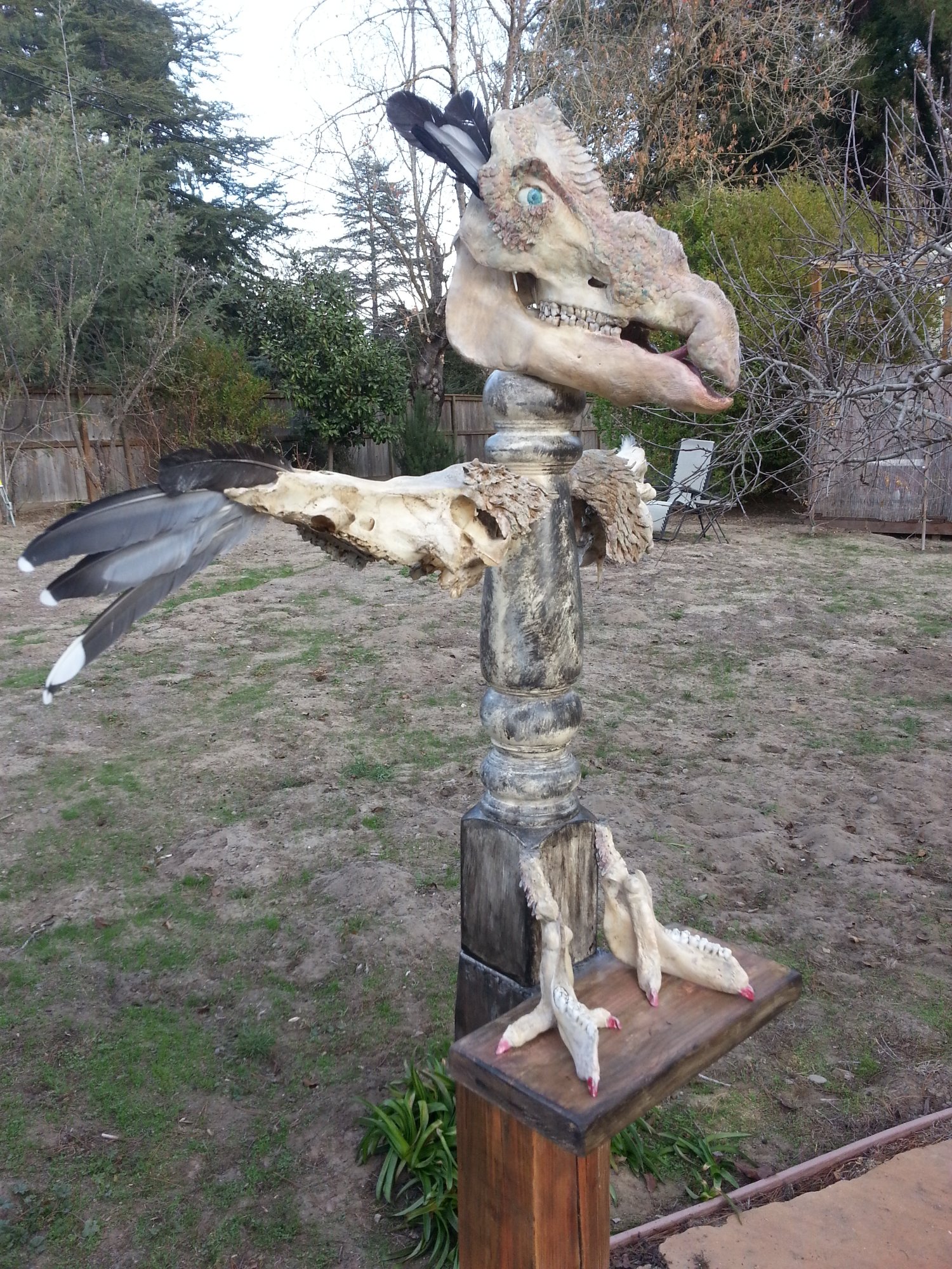 Bird of Prey (or Jesus?)