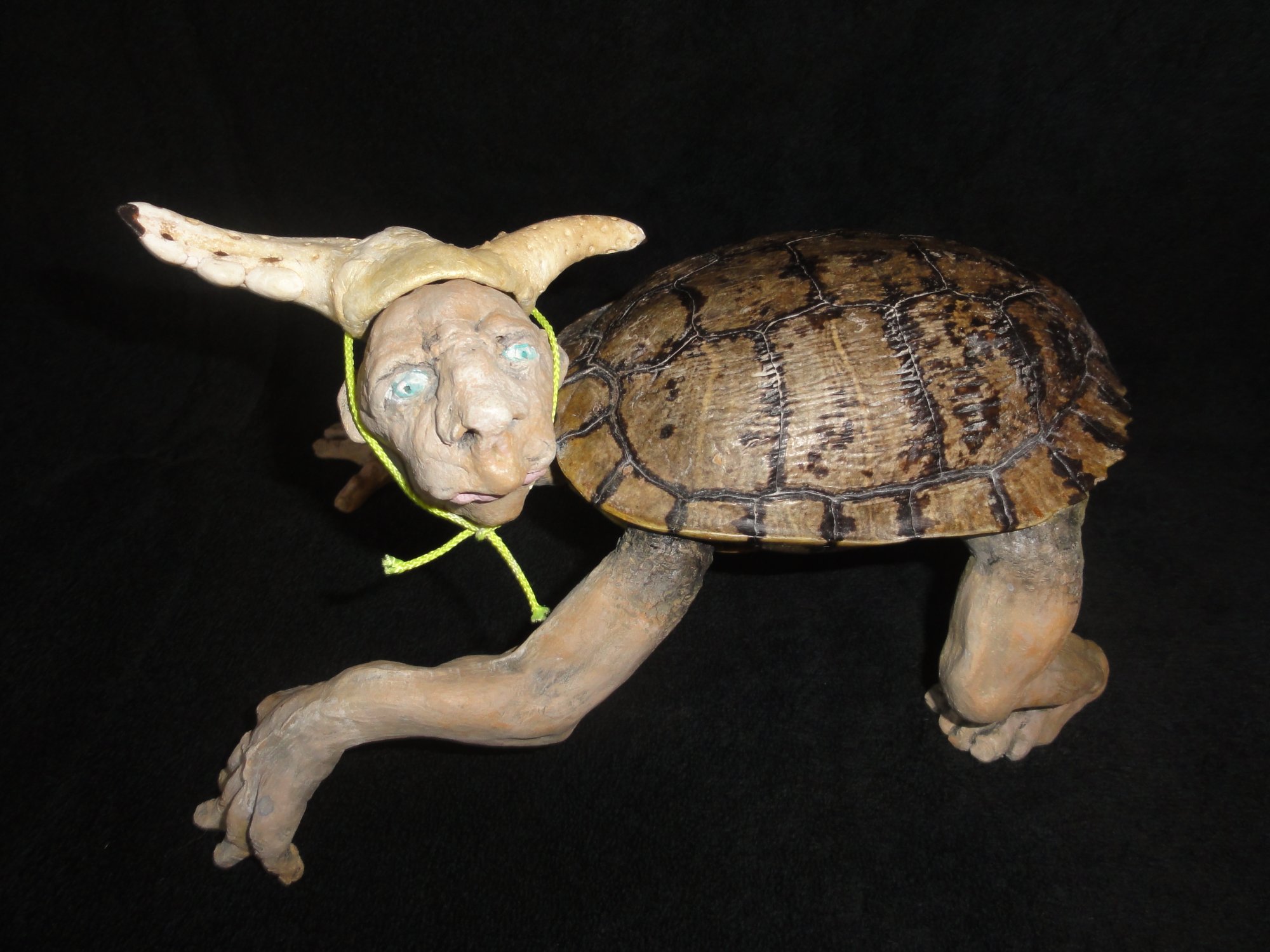 Evolution of the Party Hat